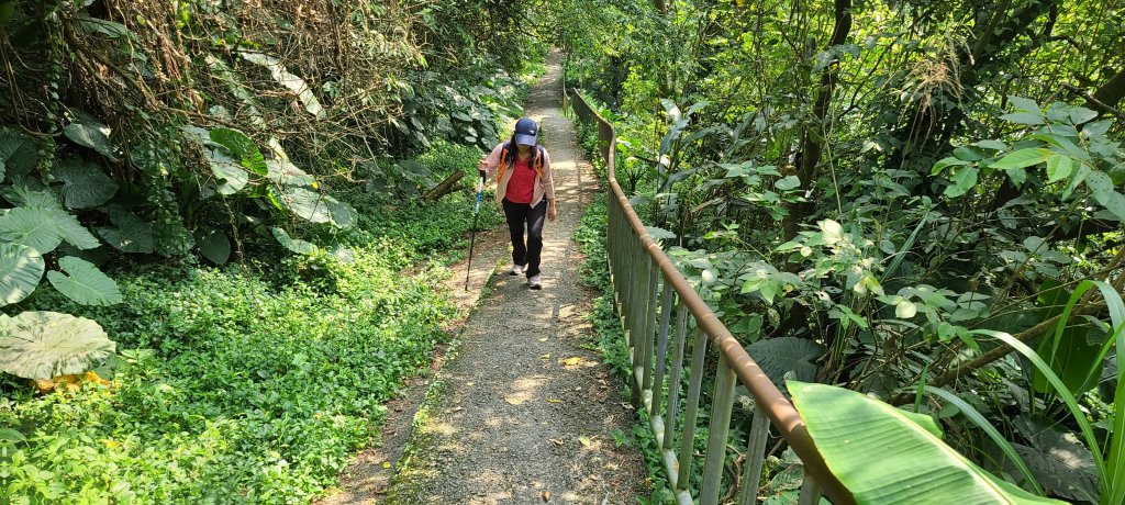 土城山中湖封面圖