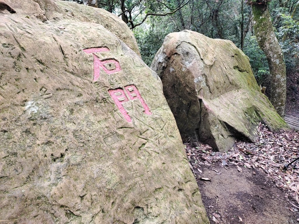 細道邦山-馬那邦山-司令山-大克山森林遊樂區2021.6.12_1415398