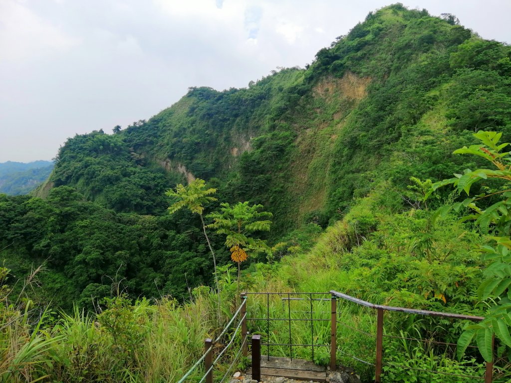 南投草屯~峰峰相連~九九峰森林步道封面圖