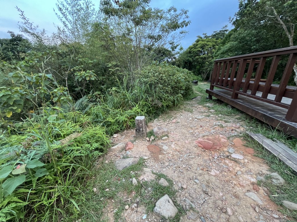 [微笑山線_第六段] 2025_0807 二格山系_和美山螢火蟲段_2854653