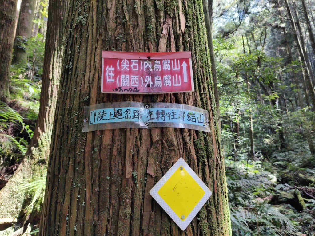 貴妃那結P 型縱走1131012_2621911