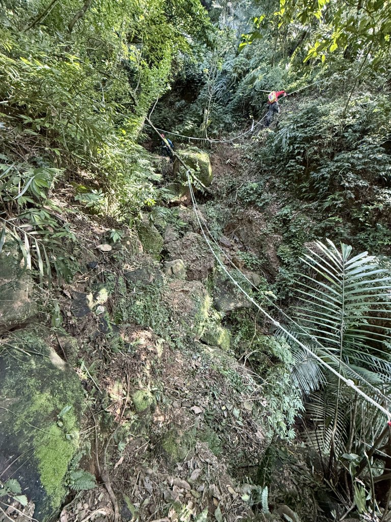 瑞芳蛇子形古道_2748066