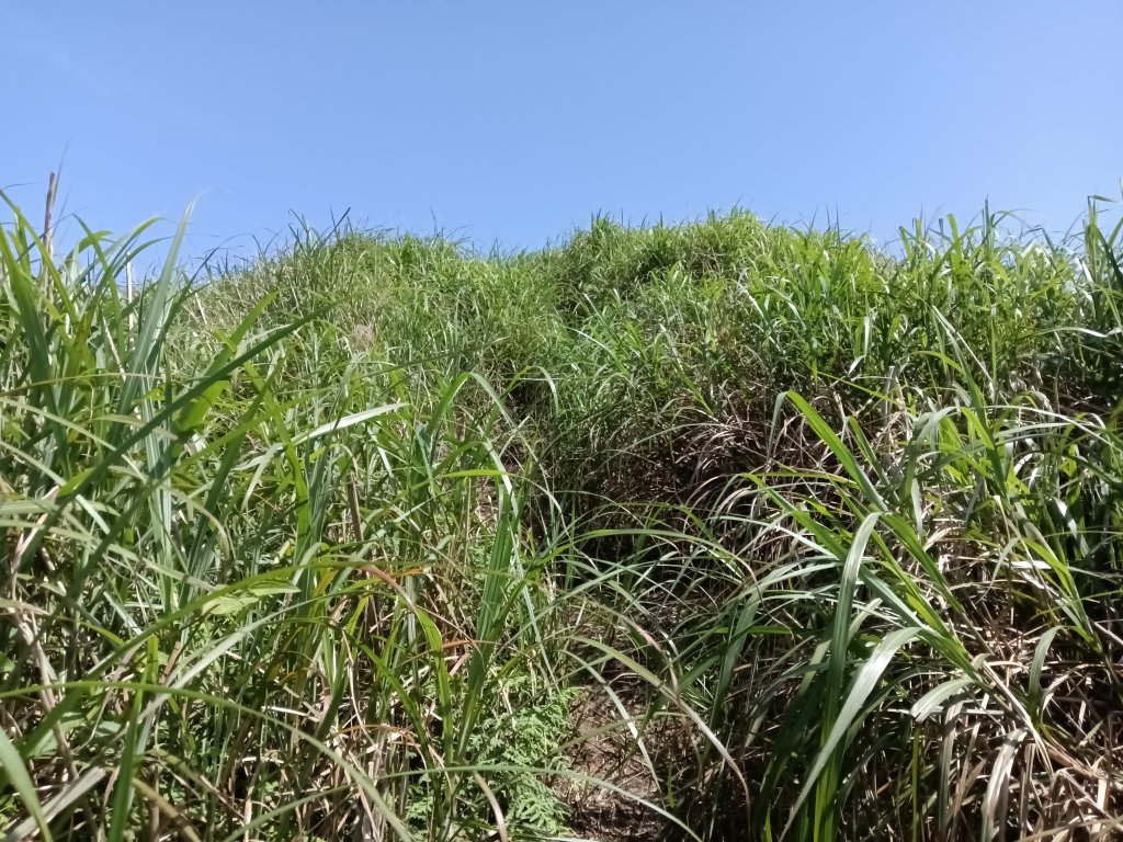 雙溪區不厭亭+牡丹山+樹梅坪+鷹石岩山神廟+不厭亭+奉憲示禁碑+三貂崙+不厭亭8字走_2766225