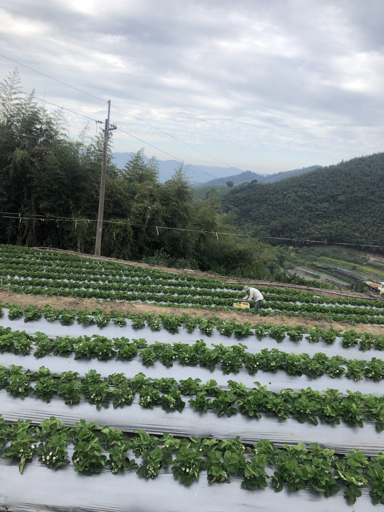 馬那邦山20211128_1530854