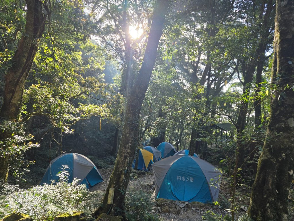 北大武山（喜多麗斷崖）雲海、雲霧、耶穌光之美_2467610