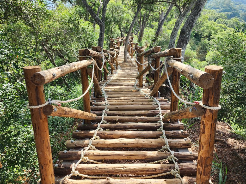新竹新埔｜文山步道｜犁頭山_2891112