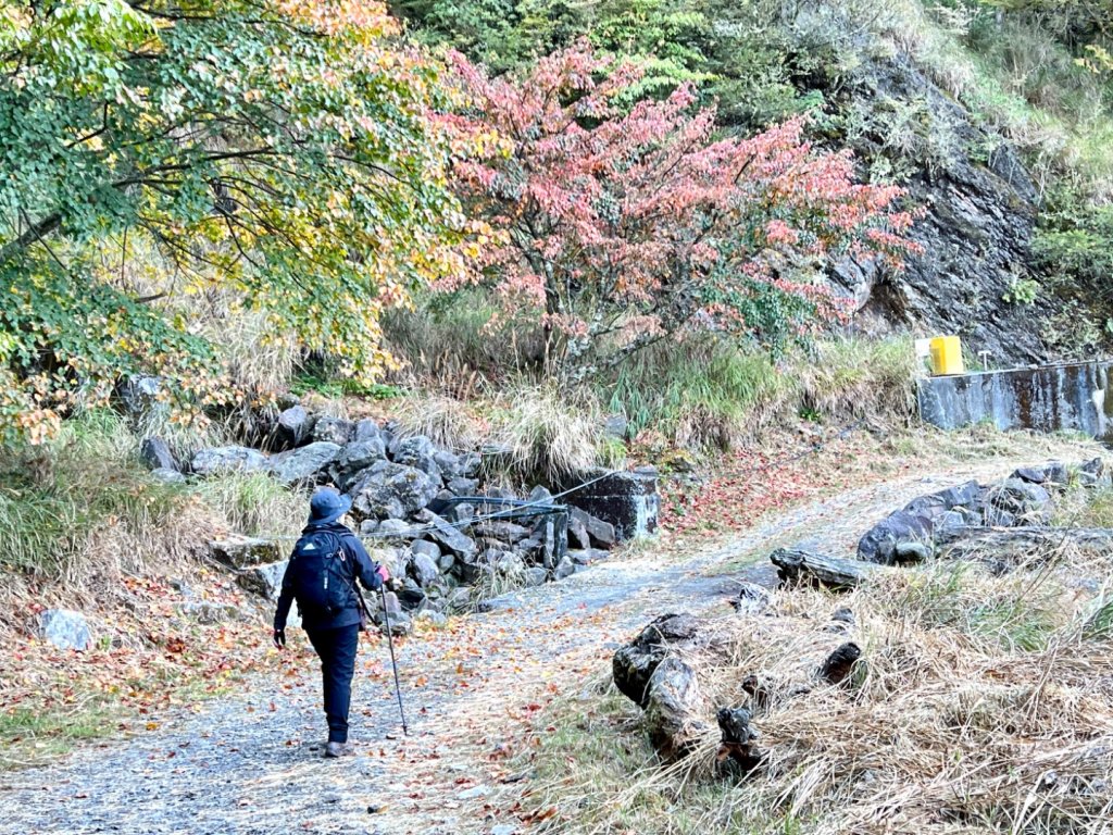 楓紅健走北三錐山_2377130