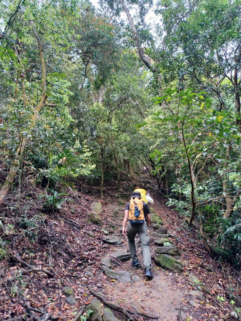 【苗栗大湖】山頂展望佳等到雲海。 馬那邦山登山步道_2806806