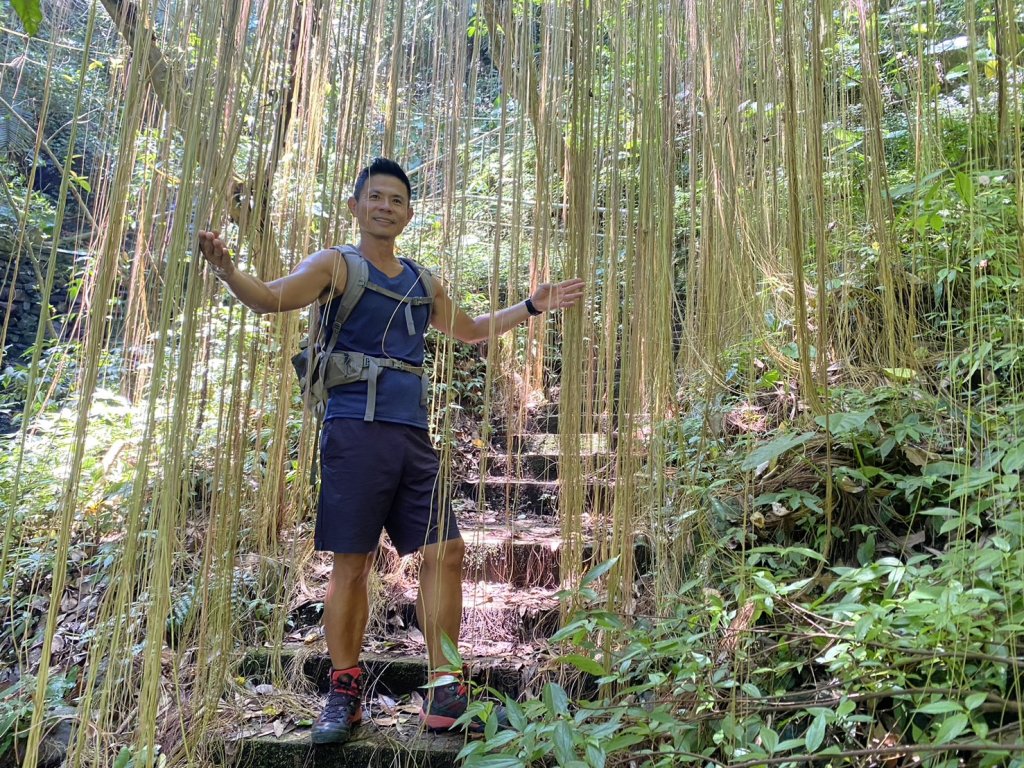 九寮溪自然步道.梅花湖環湖步道_2599730