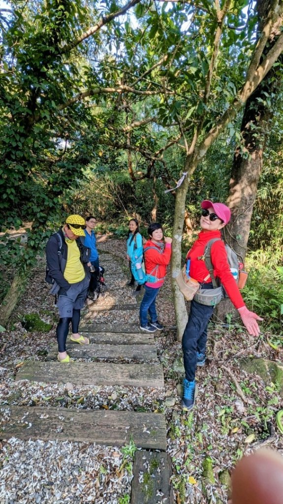 粗坑口尖.碇內尖.龍門山O型_2985801