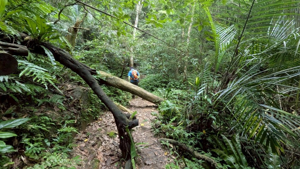 114.06.14雙石縱走&石門水庫-石牛山之旅_2812275
