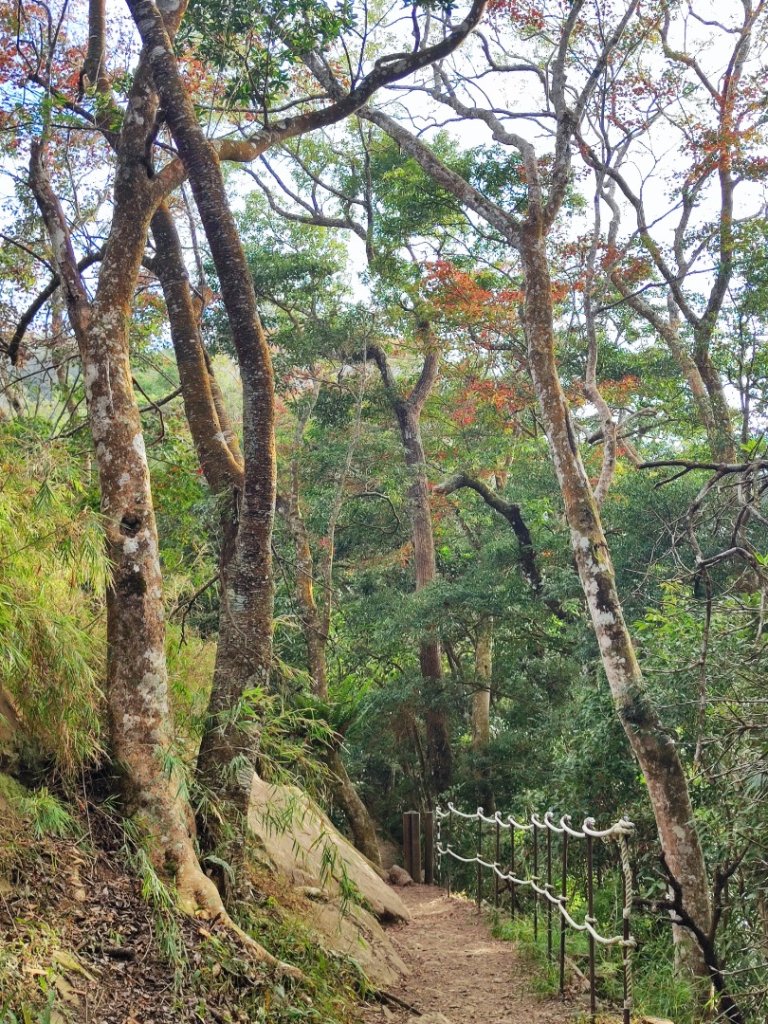 馬那邦山_2666837