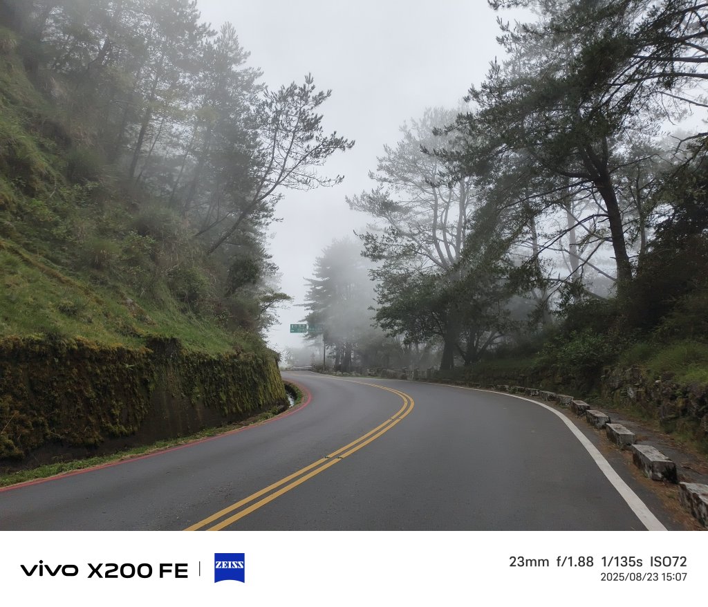 [玉山尋寶任務-05/12] 2025_0823 塔塔加步道(大鐵杉登山步道)_2869731