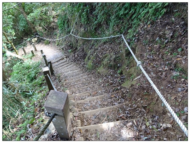 馬那邦山(小百岳)/上湖登山口_2427044