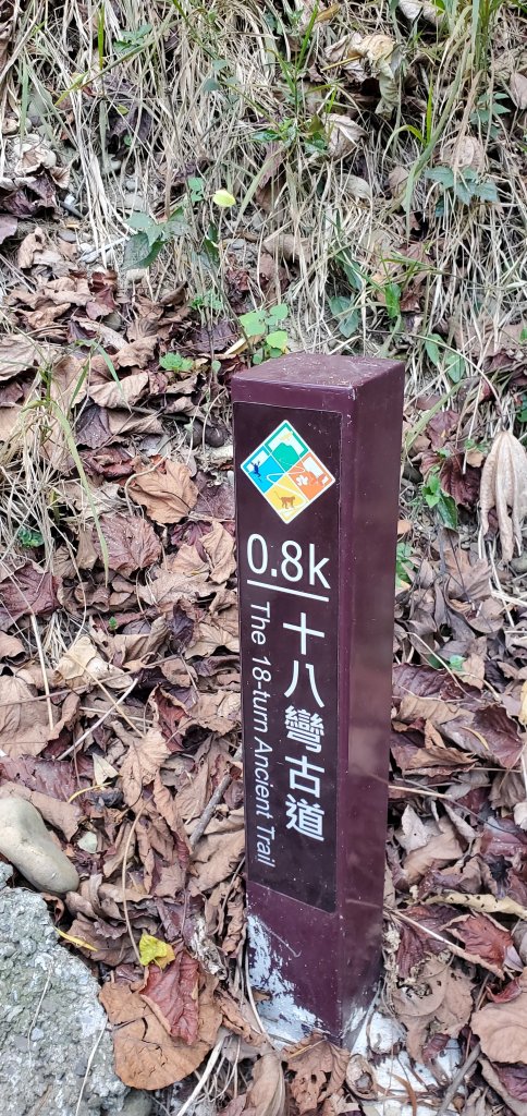 2023-02-19清水岩中央嶺造林步道、十八彎古道_2037841