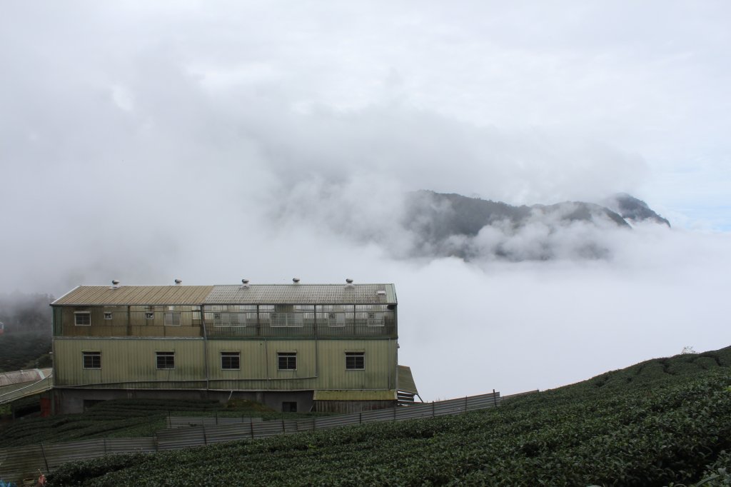 20201024南投龍鳳山O型縱走_1145080