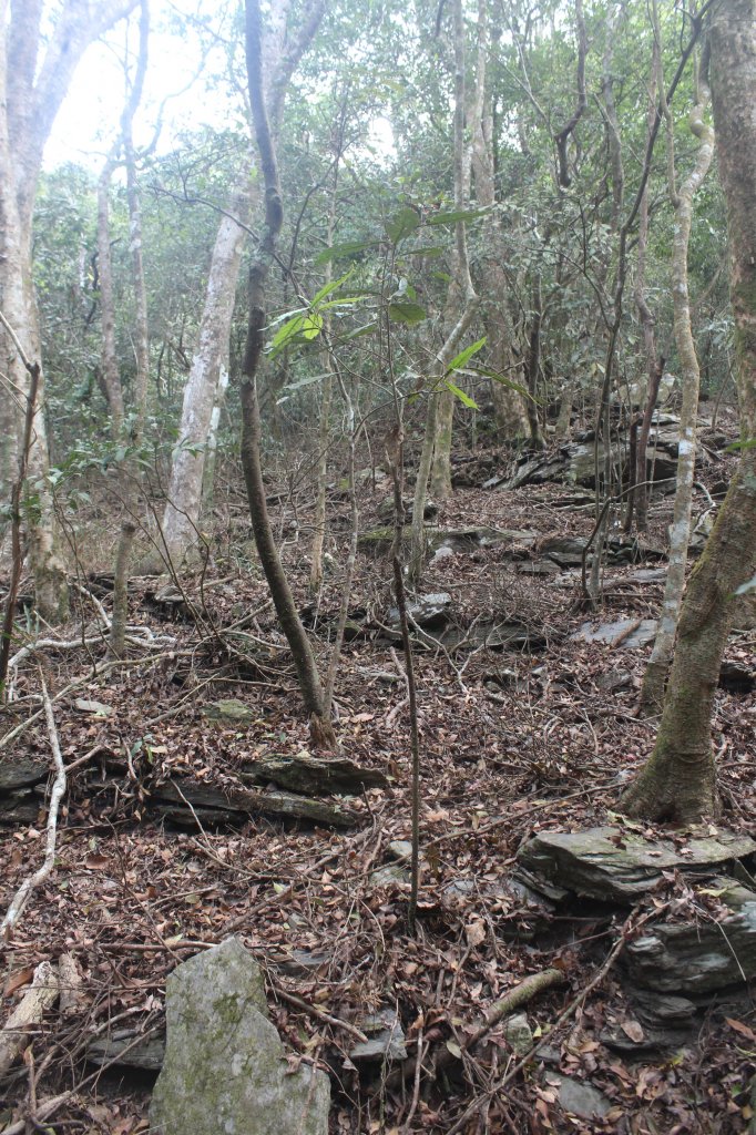 20230415屏東旗鹽主山_2117481