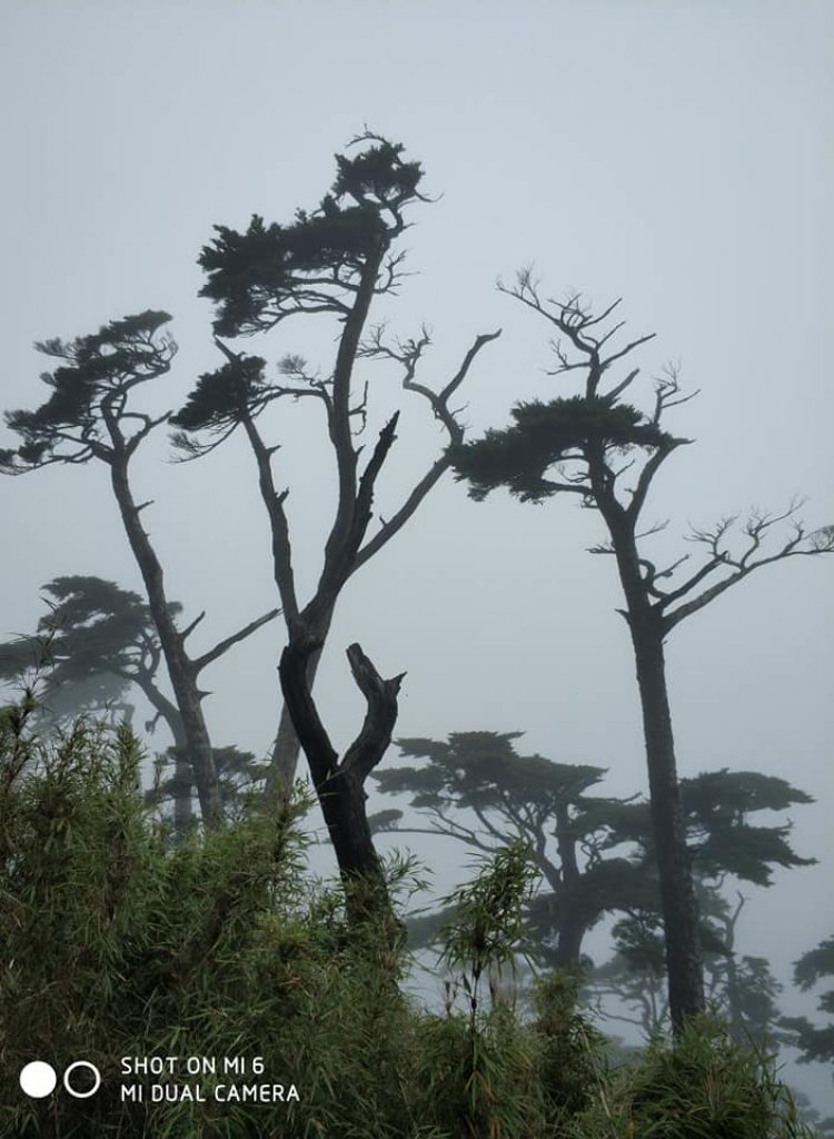 2018老公的生日禮物_446791