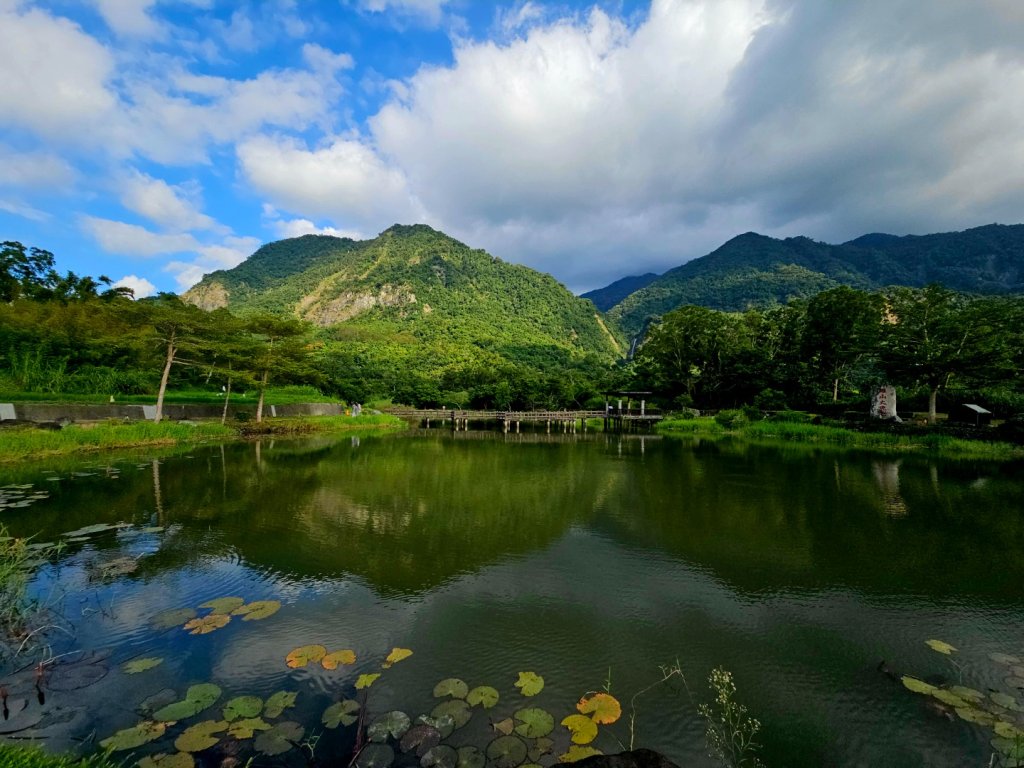 羅山村竹林步道-2025漫遊縱谷愛在花東-花蓮縣富里鄉封面圖