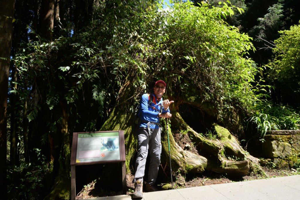 2019 07 31 塔山步道(大塔山)_640790