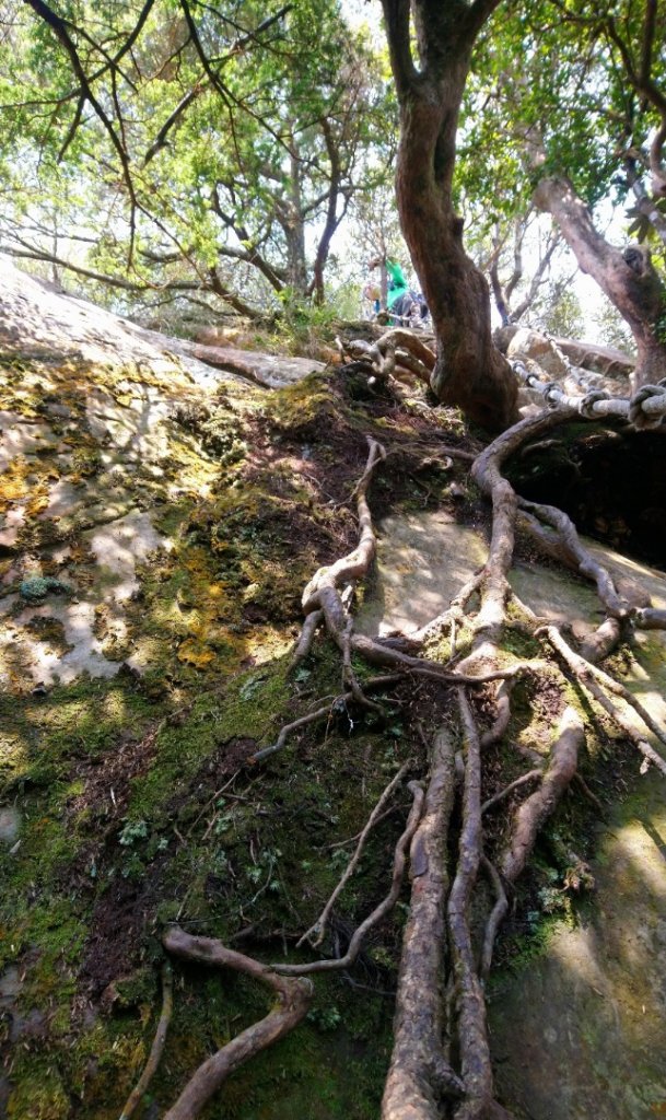 那結山（嘎色鬧部落線）_893401