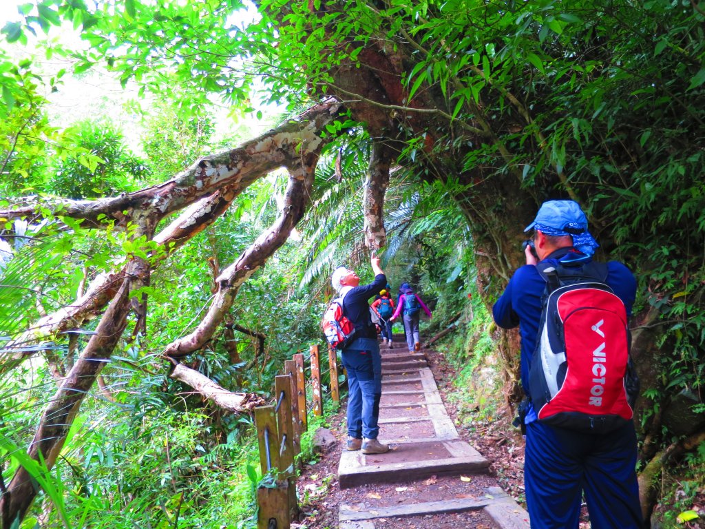 【新竹內灣】馬胎古道_1619689