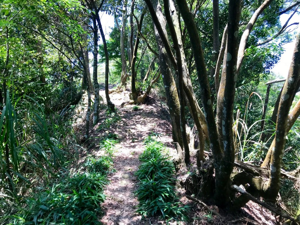 三員縱走下銅鑼_633474