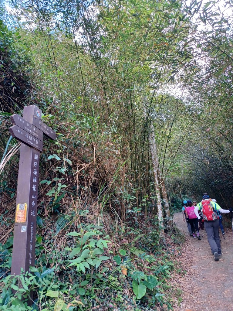 【台南白河】雞籠山+九龍山+大凍山O繞縱走_2797120
