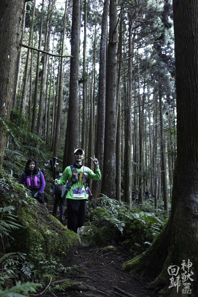 20241228之向天湖山 加里山 哈堪尼山 虎山西南峰 南大龜山 三角湖山_2688694