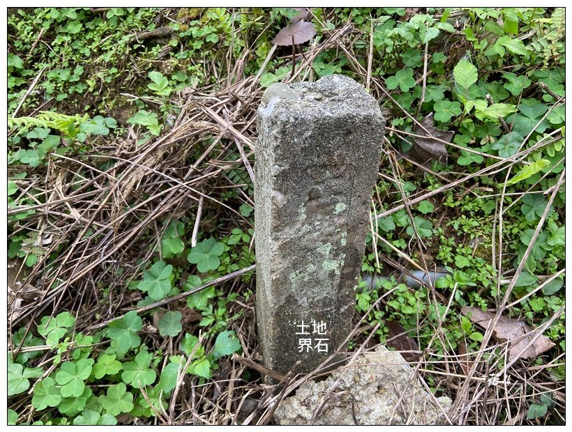 南庄山 (苗栗、南庄)_2734571