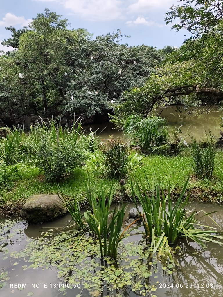 大安森林公園【走路趣尋寶】【臺北健走趣】_2536151