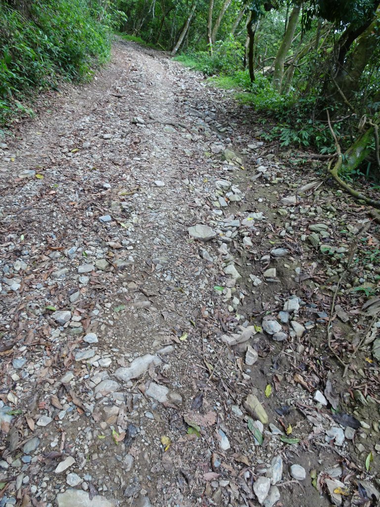 台灣小百岳第71座高雄茂林-鳴海山_1029305