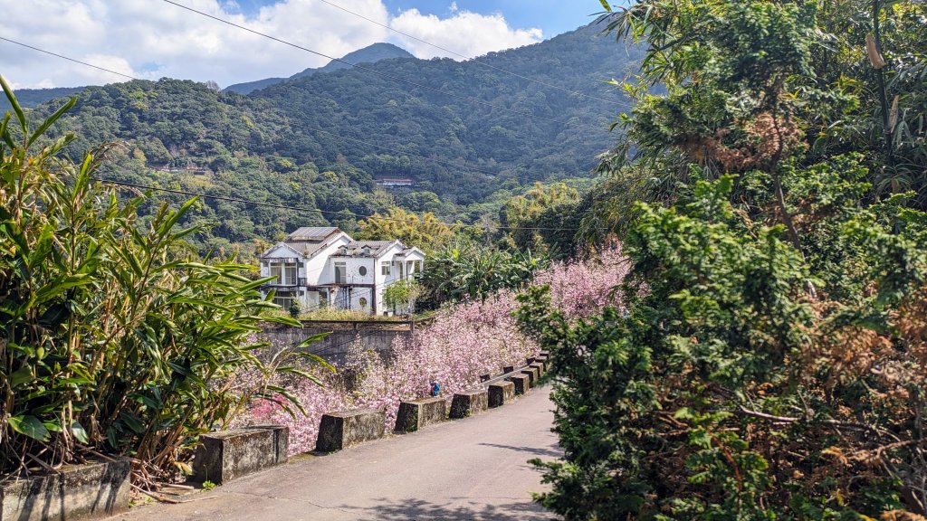 天元宮,楓樹湖,北新庄,淡水老街_2430288