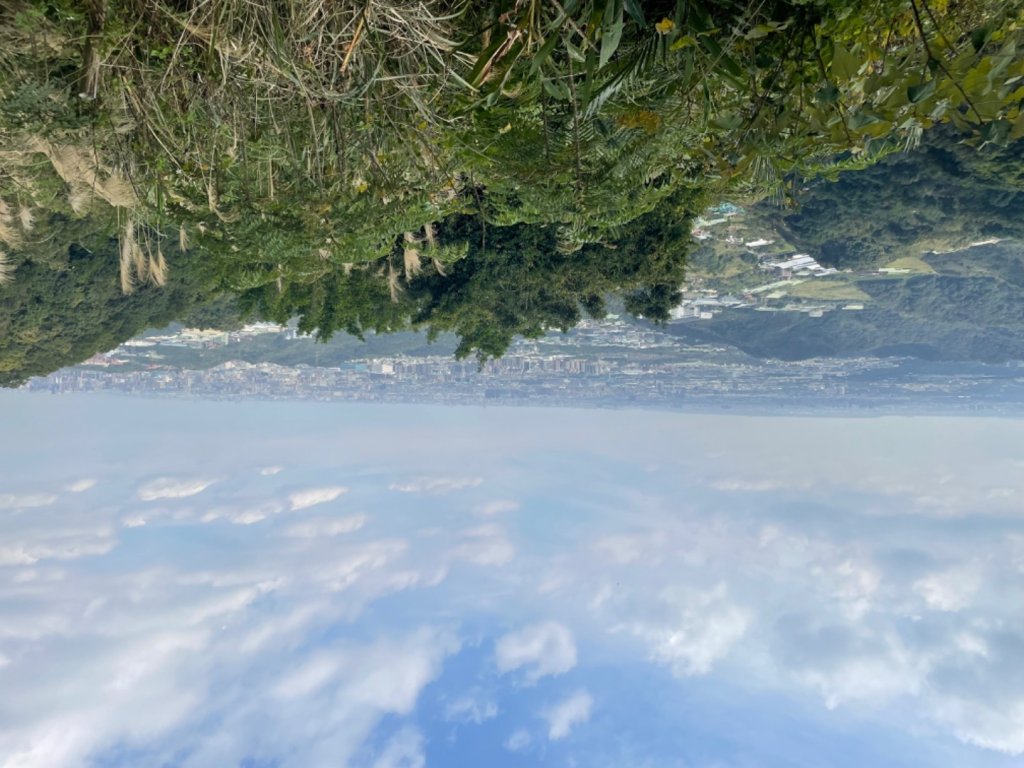 鶯桃縱走_2441628