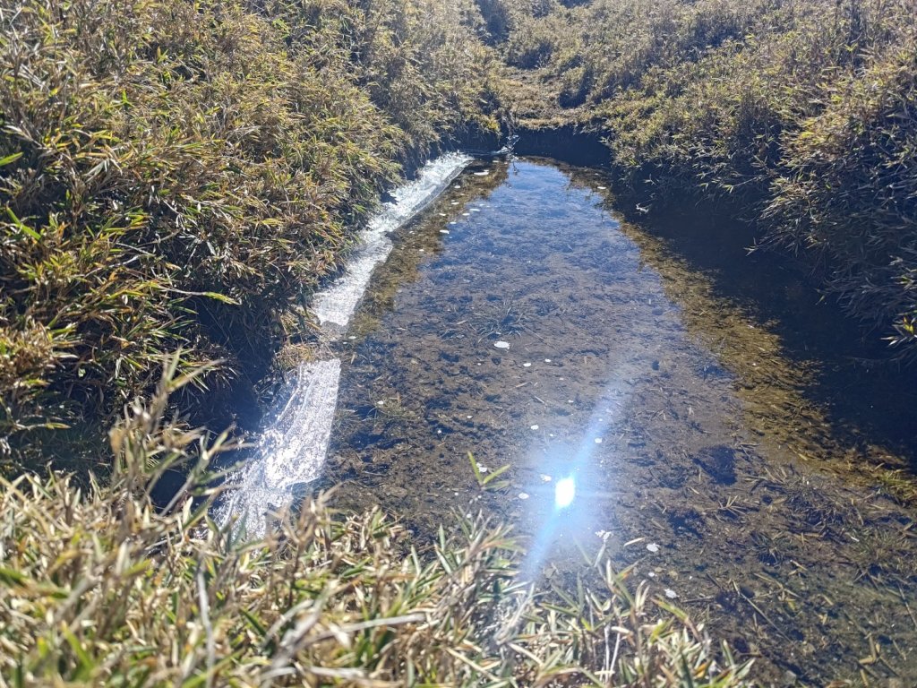 溪頭山連走魔保來山_2682743
