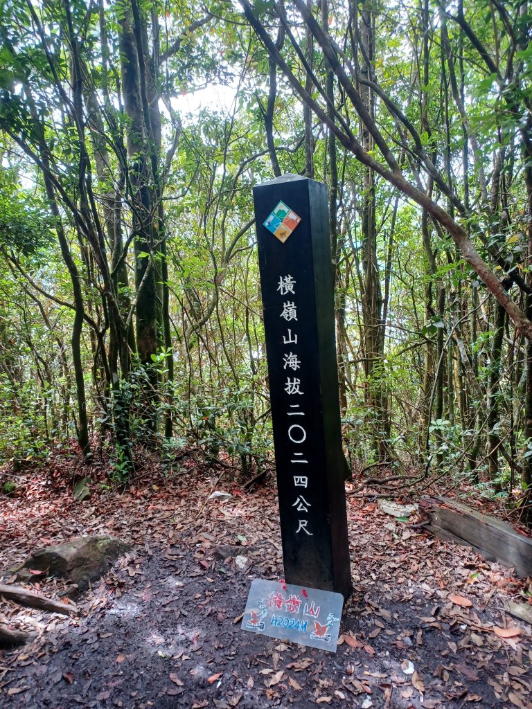 【台中和平】筆直的杉林.林相優美。 橫嶺山x沙連山P型_2869033
