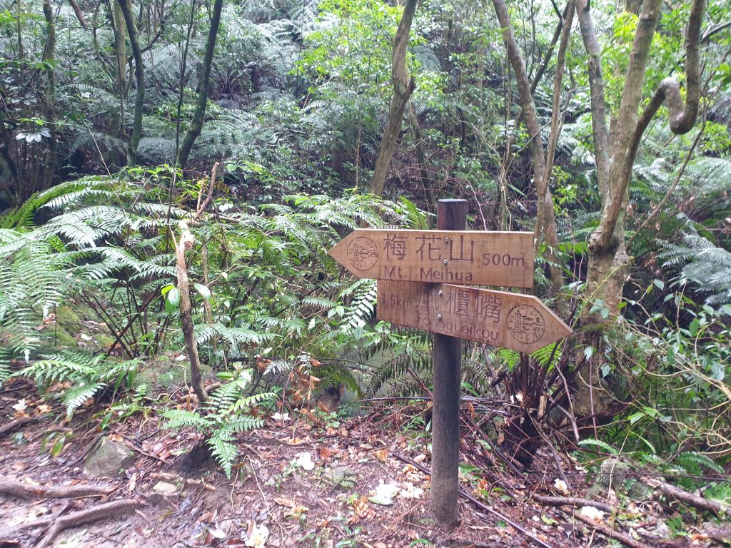 臺北大縱走第四段_1515967