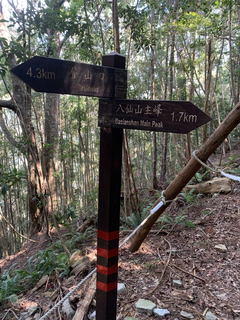 20251018台中八仙山_2921441