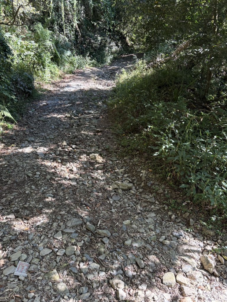 20251116鳴海山、網子山登山步道_2938343