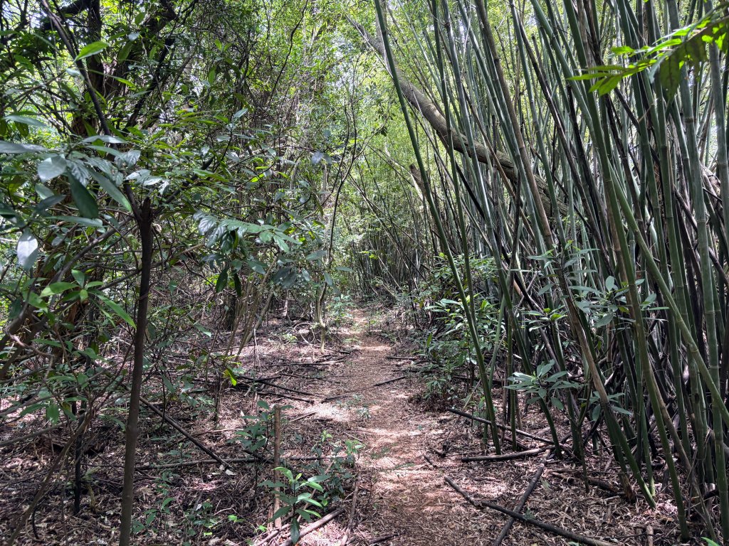 三段崎古道_2835545