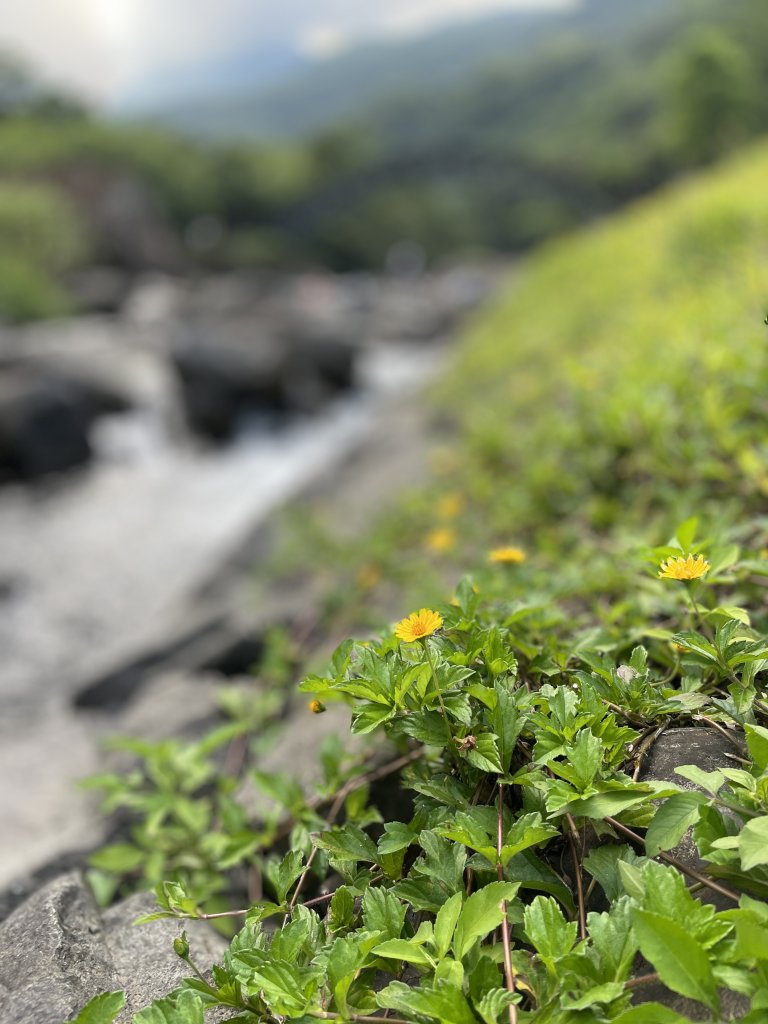 涼意滿滿的〔烏來〕福山部落古圳道消暑趣_1776995