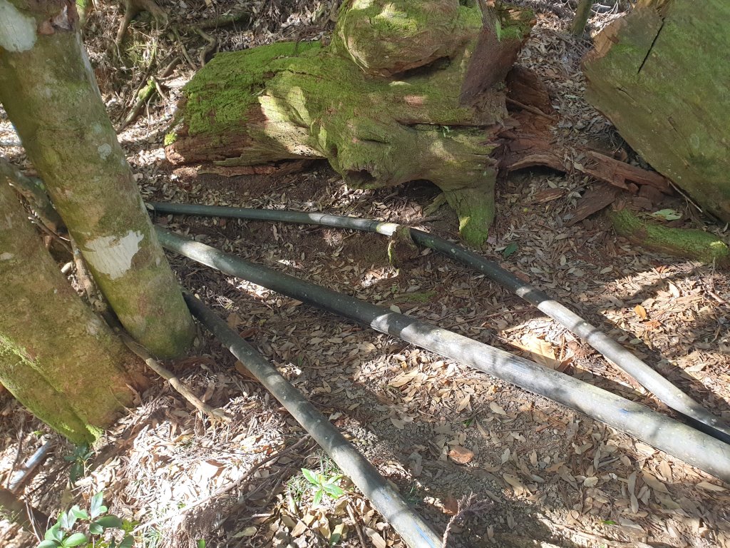 20230108鹿山、鹿坑山、南比林山與尤命神木_2010939