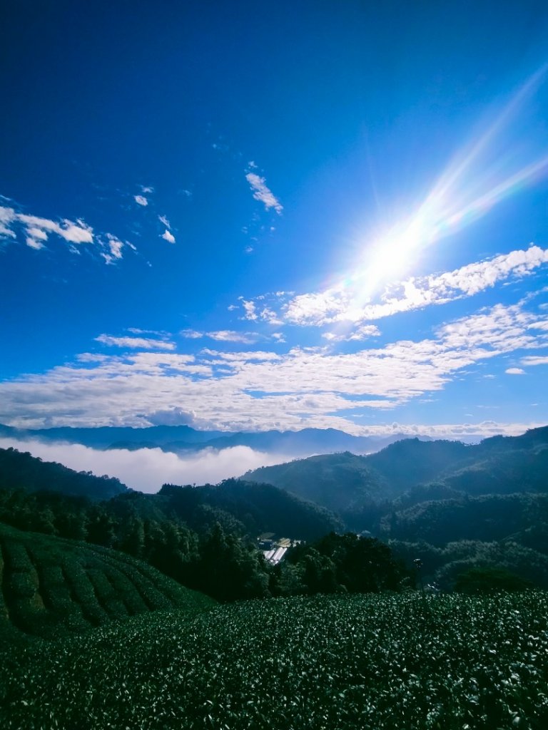 雲嘉連峰_2365676