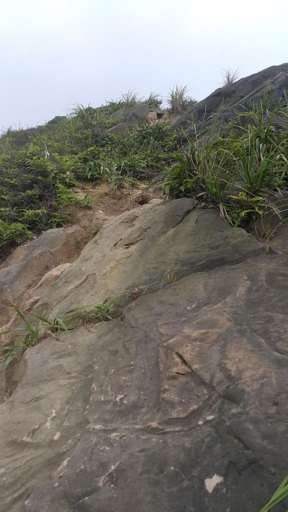 劍龍稜、鋸齒稜、半屏山、茶壺山_55055