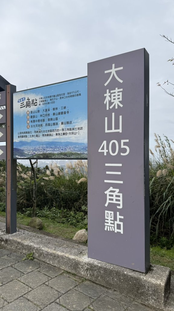 20260111微笑山線：【大棟山系】405高地段+百年大榕樹段_2982895