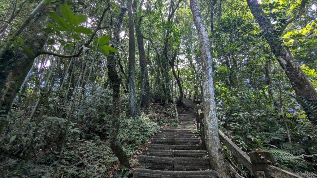 關刀山步道 (出關古道：聖關段)_2532843