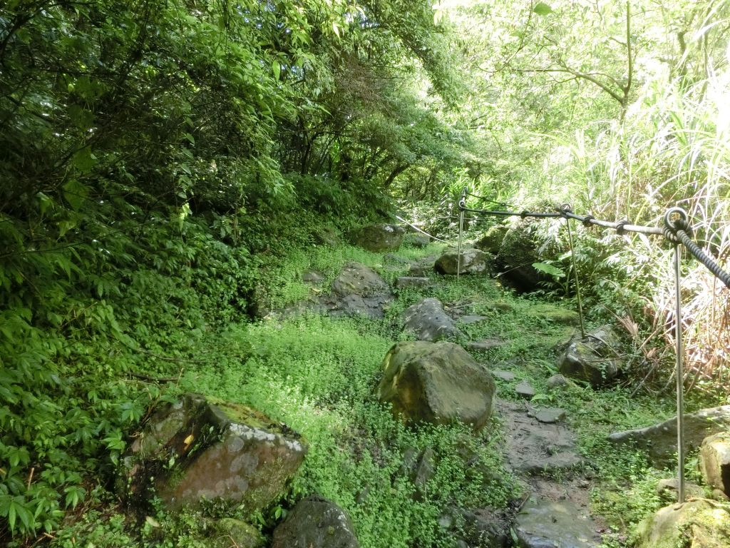 姜子寮絕壁_141496