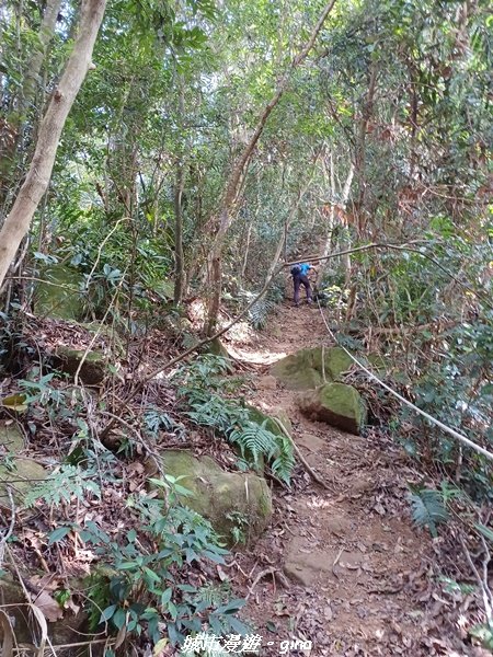 【苗栗大湖】很有趣的金童玉女。 玉女山、金童山、汶水山~三山連走_1942495