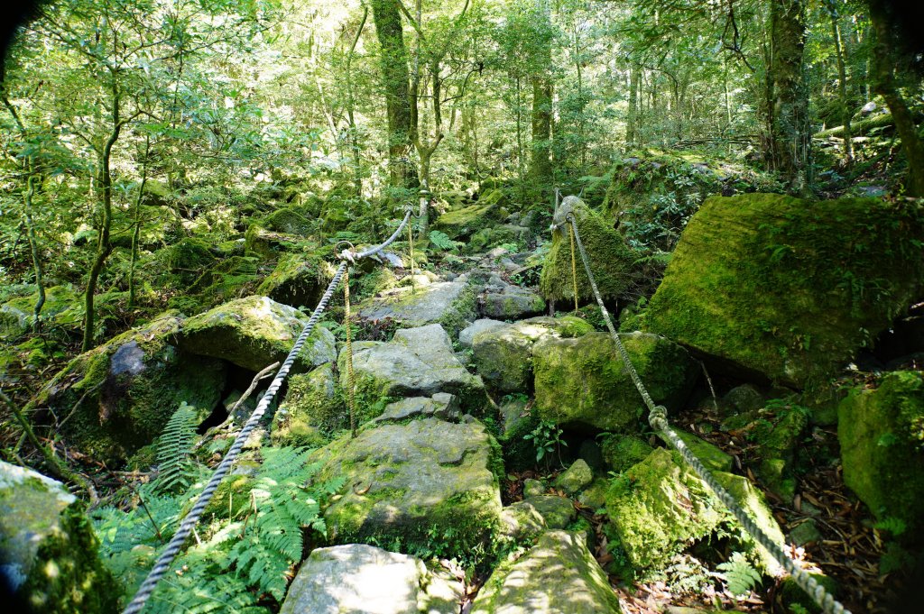 台中 和平 鳶嘴山_2926899