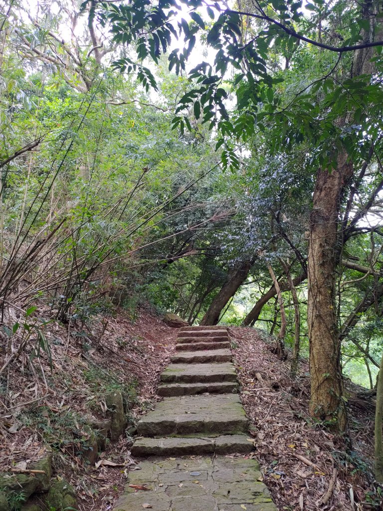 台北大縱走第一段-關渡→二子坪_2007689
